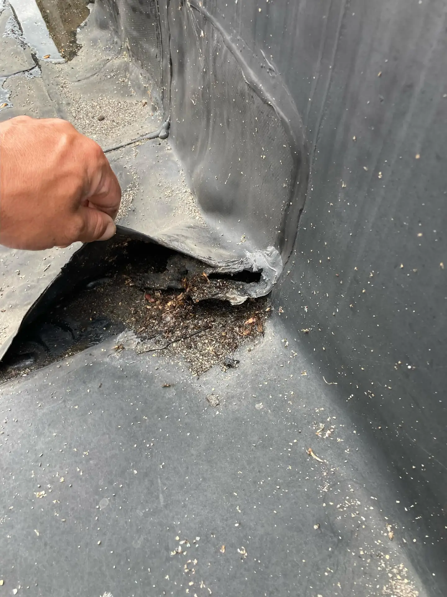 RTG Solutions commercial roof inspector lifting deteriorated roof membrane to expose underlying damage